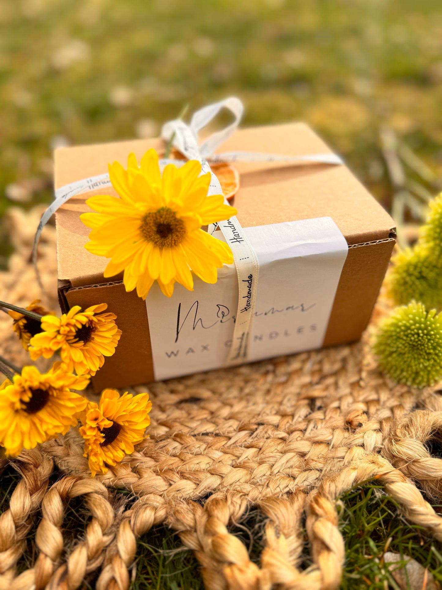 SURPRISE’S MAITE BOX